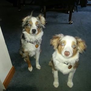 Meet your Posher, Sandy